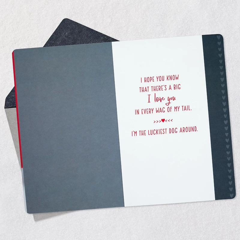 I'm the Luckiest Valentine's Day Card From the Dog for only USD 2.99 | Hallmark