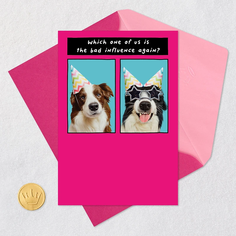 Favorite Bad Influence Funny Birthday Card for Sister for only USD 4.49 | Hallmark