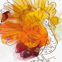 Feeling So Thankful for You Thanksgiving Card for Niece for only USD 2.99 | Hallmark