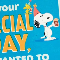 Peanuts® Snoopy and Woodstock Burpday Banner Funny Birthday Card for only USD 5.99 | Hallmark