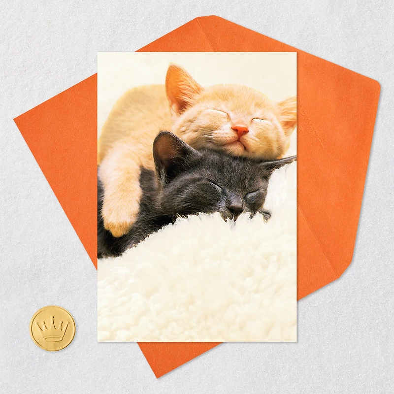 Spending All Nine Lives With You Love Card for only USD 3.99 | Hallmark