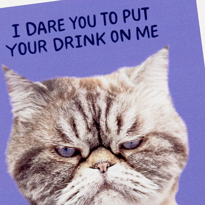 Grumpy Kevin the Cat Photo Funny Coaster for only USD 6.99 | Hallmark