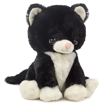 Kitten Stuffed Animal, 7.2" for only USD 18.99 | Hallmark
