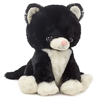 Kitten Stuffed Animal, 7.2" for only USD 18.99 | Hallmark