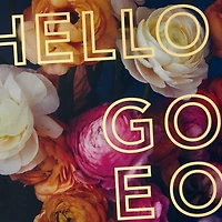 Floral Hello Gorgeous Boxed Blank Notes, Pack of 10 for only USD 12.49 | Hallmark