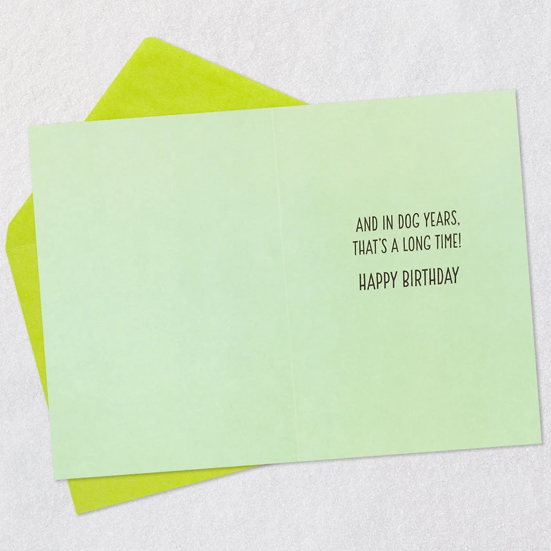 Dog Years Waiting for Cake Funny Birthday Card for only USD 4.49 | Hallmark