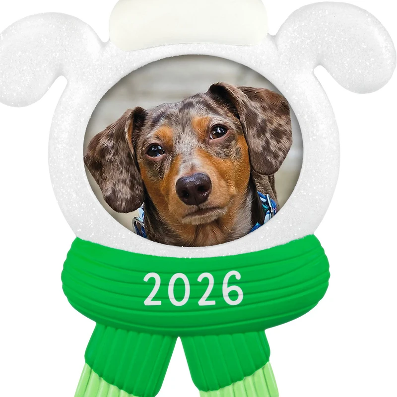 Snow Dog 2026 Photo Frame Ornament for only USD 19.99 | Hallmark