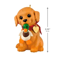 Puppy Love Golden Retriever 2026 Ornament for only USD 19.99 | Hallmark