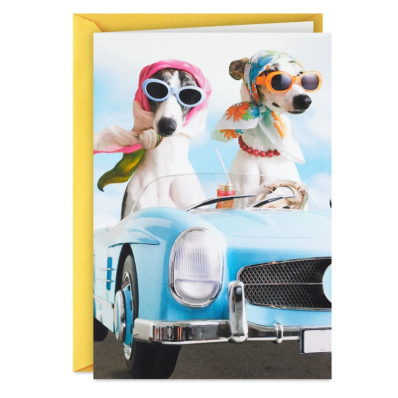 A Sun-in-Your-Face Kind of Day Funny Birthday Card for only USD 3.99 | Hallmark