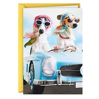 A Sun-in-Your-Face Kind of Day Funny Birthday Card for only USD 3.99 | Hallmark