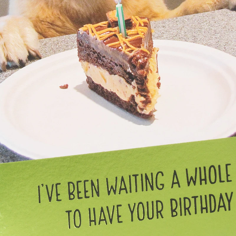 Dog Years Waiting for Cake Funny Birthday Card for only USD 4.49 | Hallmark
