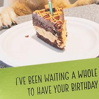Dog Years Waiting for Cake Funny Birthday Card for only USD 4.49 | Hallmark