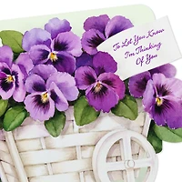 Pansy Thinking of You Card for only USD 2.99 | Hallmark