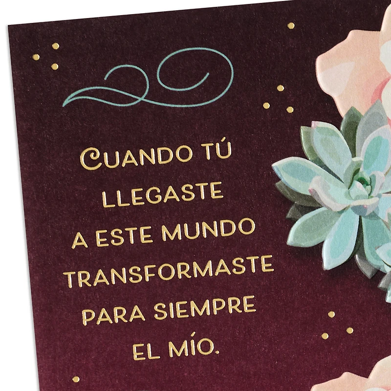 So Happy to Celebrate You Spanish-Language Birthday Card for Wife for only USD 5.59 | Hallmark