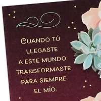 So Happy to Celebrate You Spanish-Language Birthday Card for Wife for only USD 5.59 | Hallmark