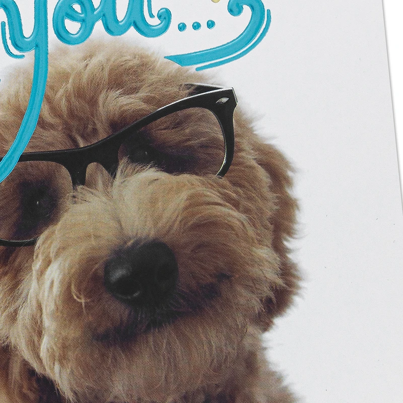 Look at You Being All Awesome Congratulations Card for only USD 5.59 | Hallmark