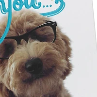 Look at You Being All Awesome Congratulations Card for only USD 5.59 | Hallmark