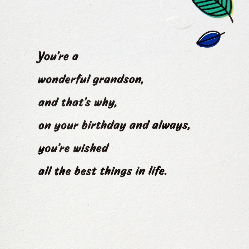 Love Watching You Grow Birthday Card for Grandson for only USD 5.99 | Hallmark