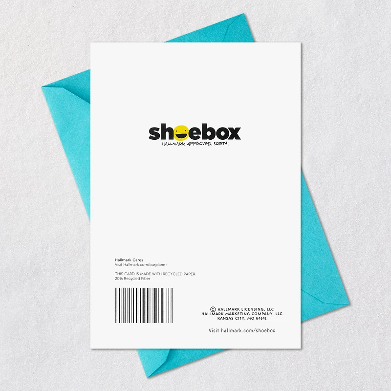 DIY Fix-It Funny Birthday Card for only USD 4.49 | Hallmark