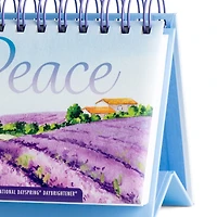 DaySpring Peace DayBrightener 365-Day Perpetual Calendar for only USD 10.99 | Hallmark