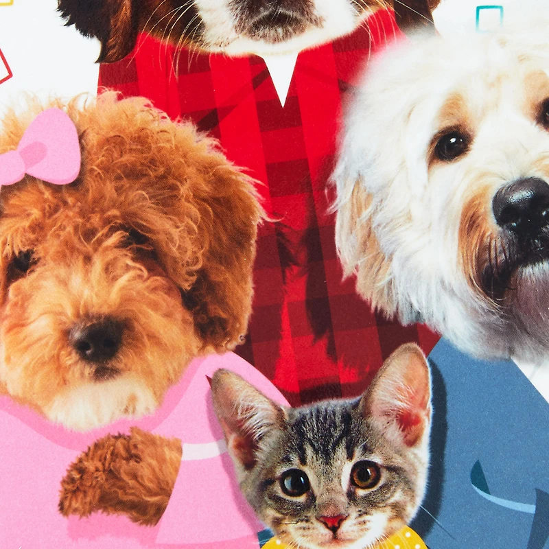 Cats and Dogs Round of Appaws Funny Pop-Up Birthday Card for only USD 4.99 | Hallmark