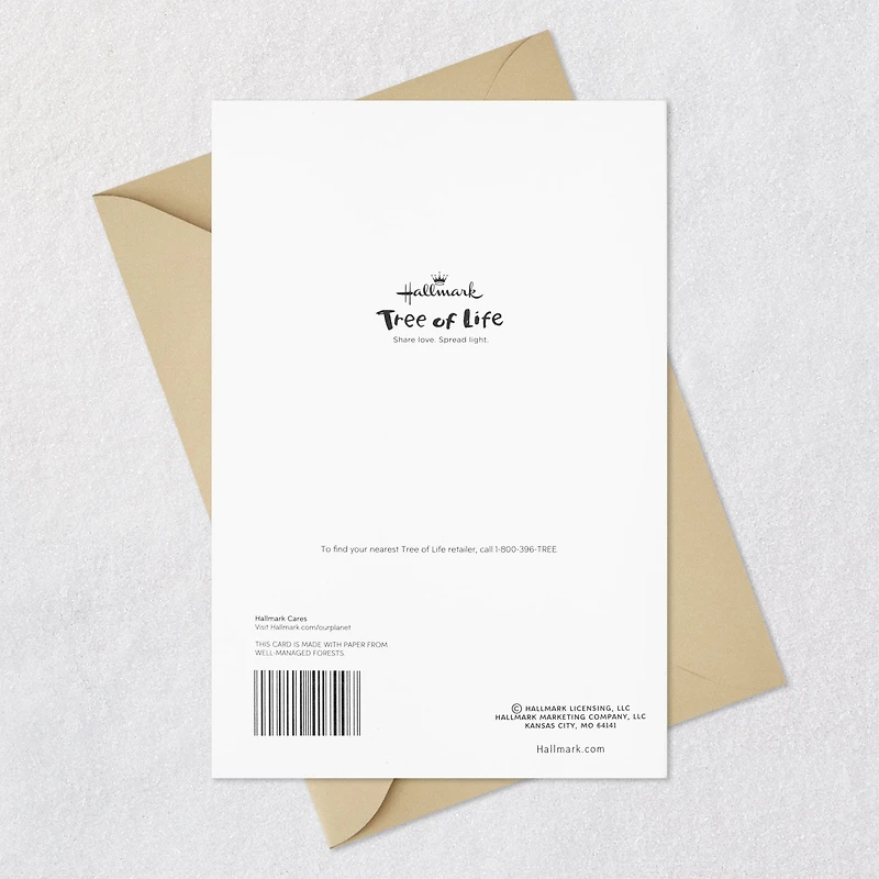 Wisdom, Responsibility and Adulthood Bar Mitzvah Card for only USD 2.59 | Hallmark