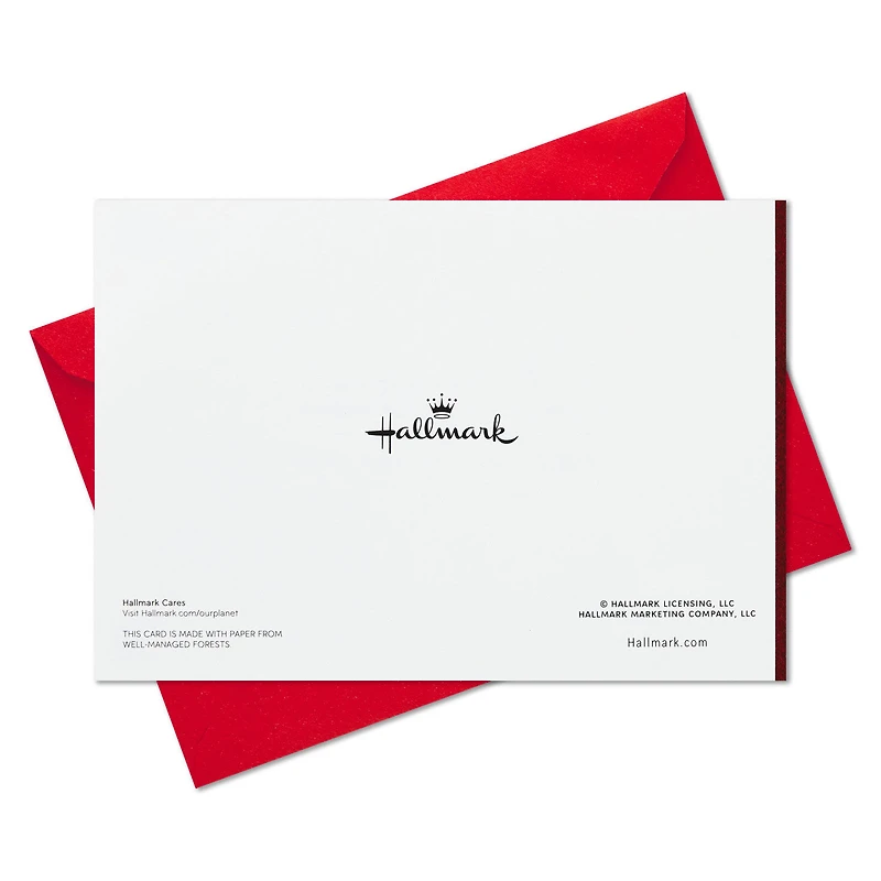 Cardinal on Branch Boxed Christmas Cards, Pack of 40 for only USD 15.49 | Hallmark