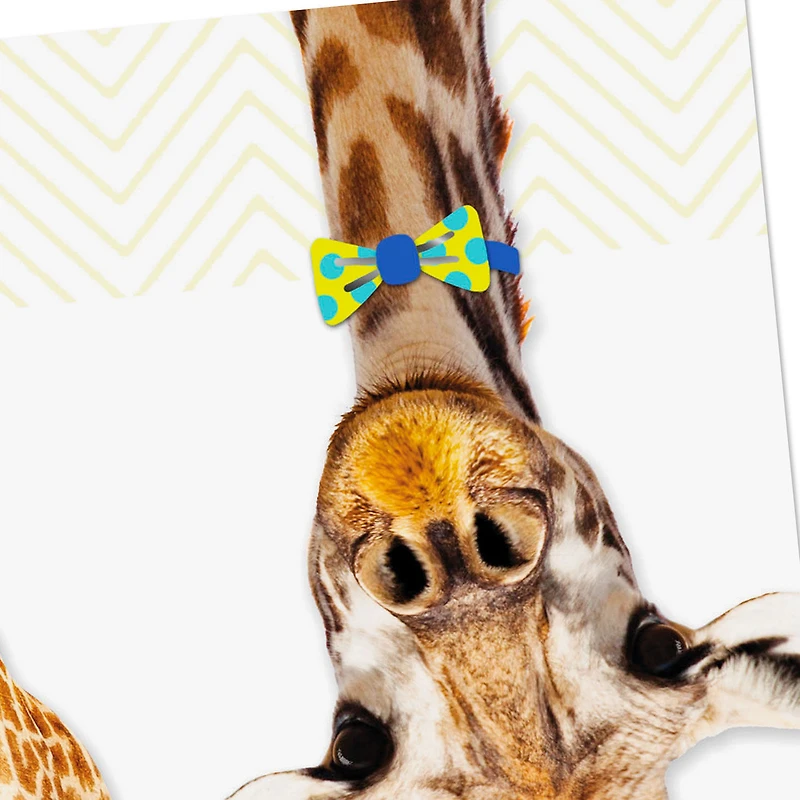 Giraffe in Bow Tie and Party Hat Birthday Card for Kids for only USD 2.50 | Hallmark