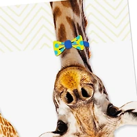 Giraffe in Bow Tie and Party Hat Birthday Card for Kids for only USD 2.50 | Hallmark
