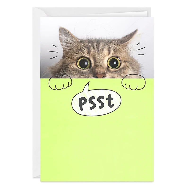 You're Mind Boggling Peeking Cat Custom Card for only USD 4.99 | Hallmark