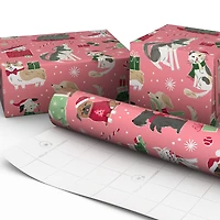 Cute Cats and Dogs on Pink Christmas Wrapping Paper Roll, 35 sq. ft. for only USD 4.99 | Hallmark