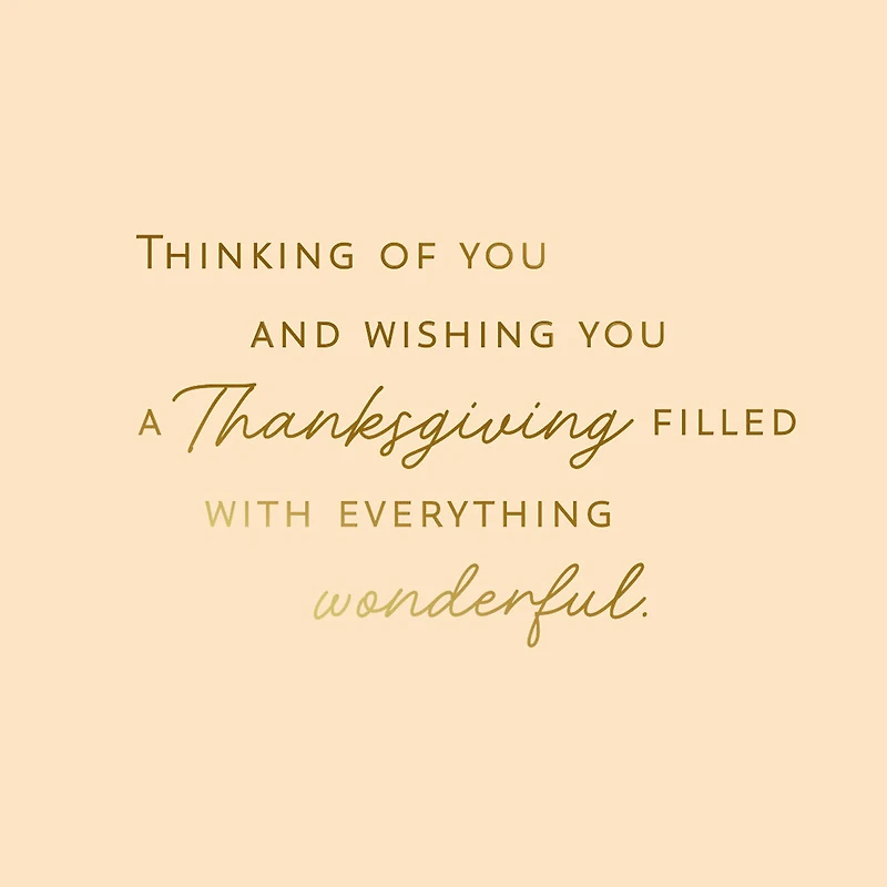 A Day Filled With Everything Wonderful Thanksgiving Card for only USD 2.99 | Hallmark