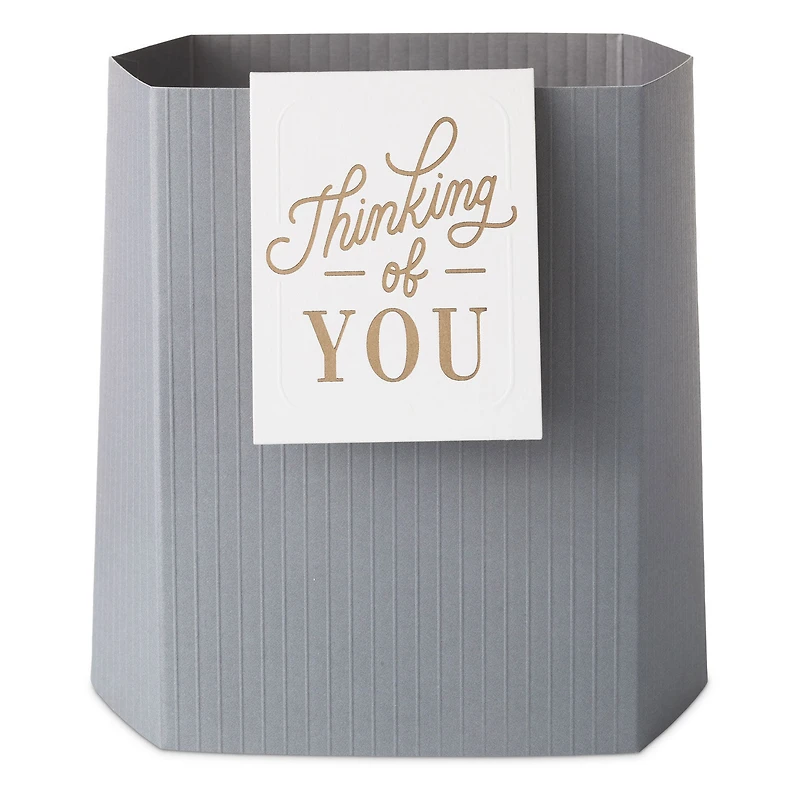Build-a-Bouquet Thinking of You Gray Stripes Pop-Up Paper Vase With Mini Card for only USD 4.99 | Hallmark