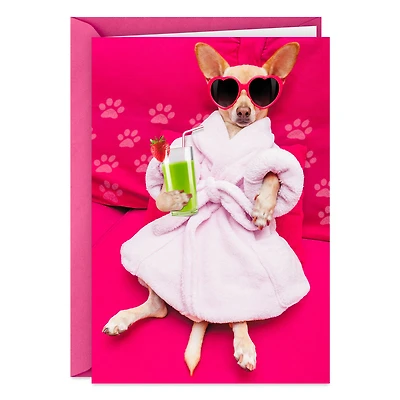 Can't Improve on Perfection Funny Birthday Card for only USD 3.99 | Hallmark