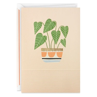 Potted Plant Blank Card for only USD 5.99 | Hallmark
