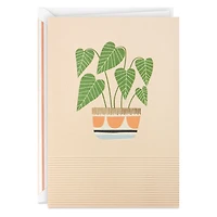 Potted Plant Blank Card for only USD 5.99 | Hallmark