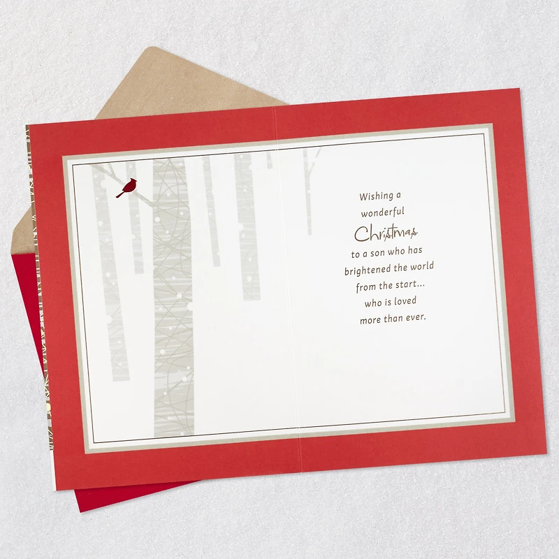 You Brighten the World Christmas Card for Son for only USD 5.59 | Hallmark