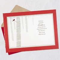 You Brighten the World Christmas Card for Son for only USD 5.59 | Hallmark