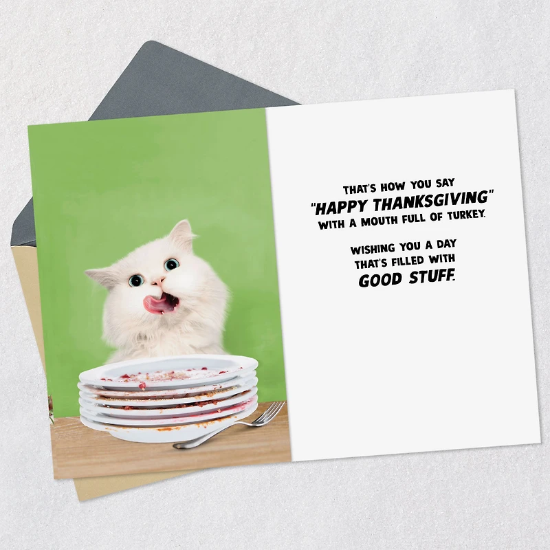 A Day Filled With Good Stuff Funny Thanksgiving Card for only USD 2.99 | Hallmark