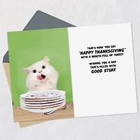 A Day Filled With Good Stuff Funny Thanksgiving Card for only USD 2.99 | Hallmark