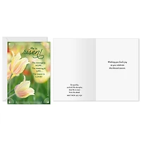 The Message Is Hope Religious Easter Cards, Pack of 10 for only USD 8.99 | Hallmark