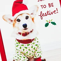 Holiday Pup in Jammies and Hat Boxed Christmas Cards, Pack of 40 for only USD 15.49 | Hallmark