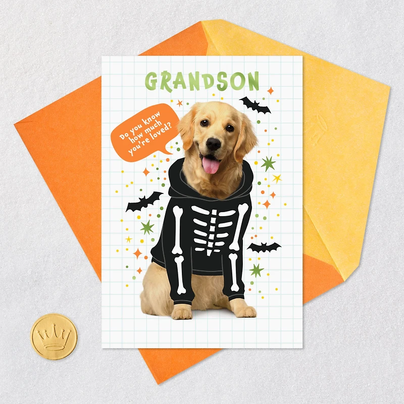 Loved a Skele-Ton Halloween Card for Grandson for only USD 2.99 | Hallmark