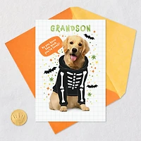 Loved a Skele-Ton Halloween Card for Grandson for only USD 2.99 | Hallmark