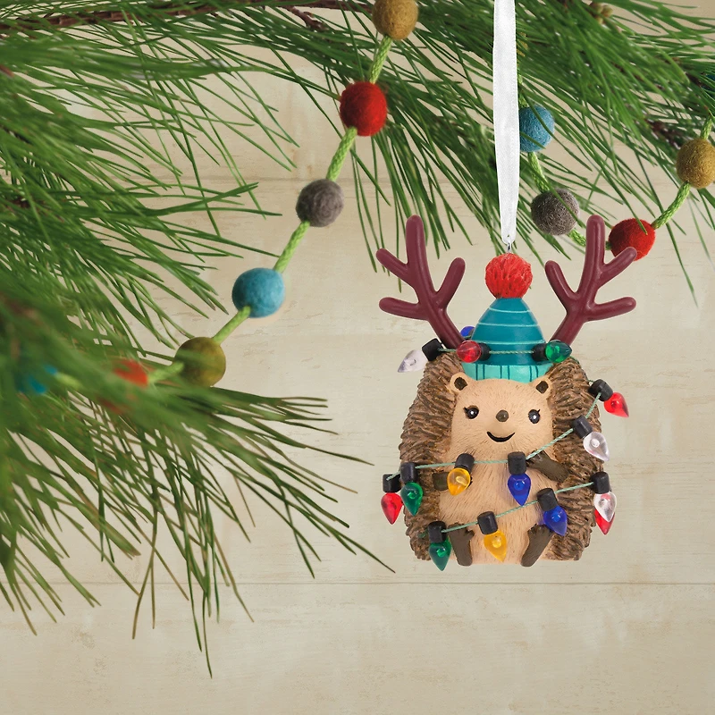 Festive Hedgehog Hallmark Ornament for only USD 14.99 | Hallmark