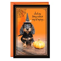 Teeny Wienie Halloween Card for only USD 0.99 | Hallmark