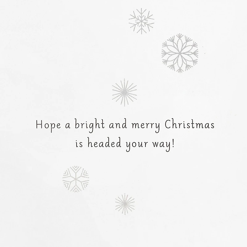 UNICEF Cute Critter Pyramid Boxed Christmas Cards, Pack of 12 for only USD 12.50 | Hallmark