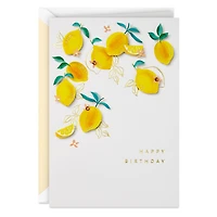 Joyful Lemons Birthday Card for only USD 7.59 | Hallmark