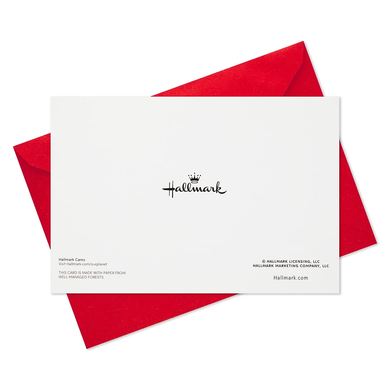 Cozy Snowman and Flurries Boxed Christmas Cards, Pack of 40 for only USD 15.49 | Hallmark