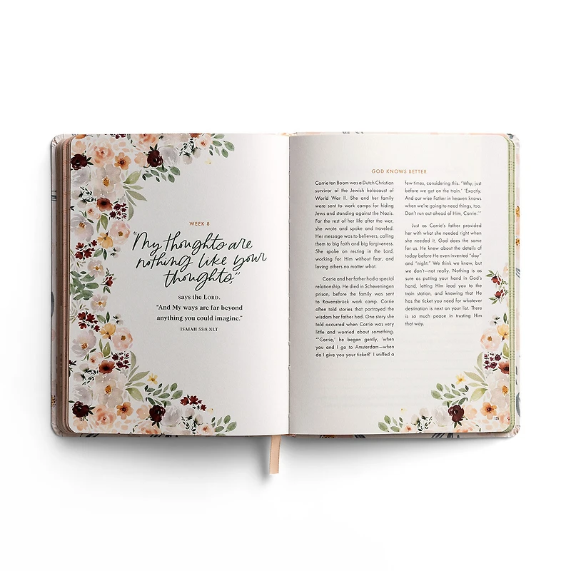 DaySpring No Worries: An Inspirational Mindfulness Journal for only USD 17.99 | Hallmark